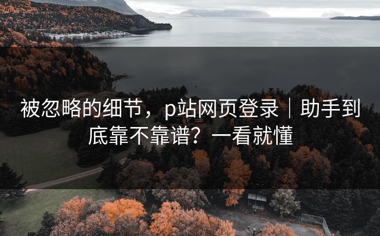 被忽略的细节，p站网页登录｜助手到底靠不靠谱？一看就懂