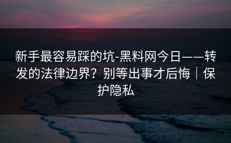 新手最容易踩的坑-黑料网今日——转发的法律边界？别等出事才后悔｜保护隐私